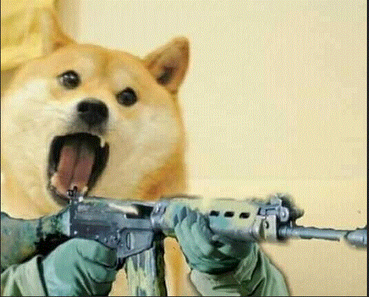 doge_wats_to_play_war_zone_irl.gif