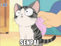 5c8d9b96-3222-4e55-a95f-b5ac1f7e6f15.gif