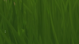 5d0a53d46f3ee.gif 5d0a53d46f3ee.gif