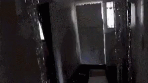 5d0943d2d873e.gif