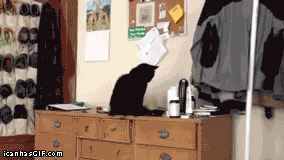 5d09da7e77673.gif